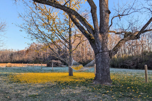 luck_farmhouse-1