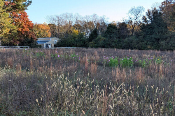 luck_farmhouse-12