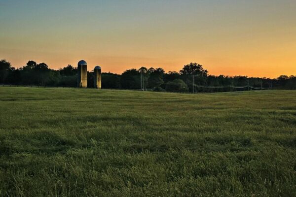 luck_farmhouse-21